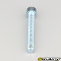 Tornillo de 8x60 mm cabeza BTR clase 8.8 (simple)