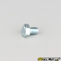 8x10 mm screw hex head class 8.8 (per unit)