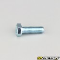 8x25 mm screw hex head class 8.8 (per unit)