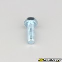 8x25 mm screw hex head class 8.8 (per unit)