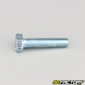 8x35 mm screw hex head class 8.8 (per unit)