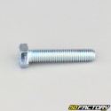 8x40 mm screw hex head class 8.8 (per unit)