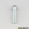 8x45 mm screw hex head class 8.8 (per unit)