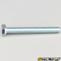 8x65 mm screw hex head class 8.8 (per unit)