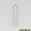 8x110 mm screw hex head class 8.8 (per unit)