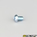 8x12 mm screws rounded head BTR class 10.9 (per unit)