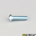 8x30 mm screws rounded head BTR class 10.9 (per unit)