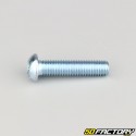 8x35 mm screws rounded head BTR class 10.9 (per unit)