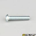 8x40 mm screws rounded head BTR class 10.9 (per unit)