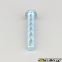 8x50 mm screws rounded head BTR class 10.9 (per unit)