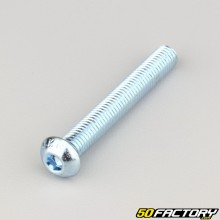 Tornillos de 8x60 mm cabeza BTR abombada clase 10.9 (por unidad)