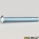 8x60 mm screws rounded head BTR class 10.9 (per unit)