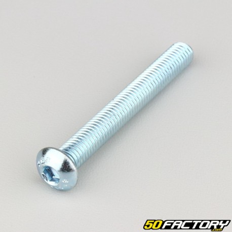 8x65 mm screws rounded head BTR class 10.9 (per unit)