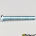 8x65 mm screws rounded head BTR class 10.9 (per unit)