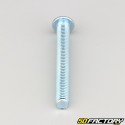 8x65 mm screws rounded head BTR class 10.9 (per unit)