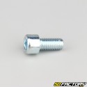 Tornillo de 10x20 mm cabeza BTR clase 8.8 (simple)