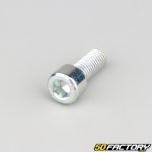 10x25 mm screw BTR head class 8.8 (per unit)