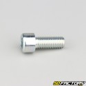 Tornillo de 10x25 mm cabeza BTR clase 8.8 (simple)