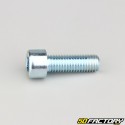 Tornillo de 10x30 mm cabeza BTR clase 8.8 (simple)