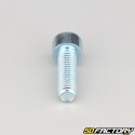 Tornillo de 10x30 mm cabeza BTR clase 8.8 (simple)