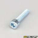 10x45 mm screw BTR head class 8.8 (single)