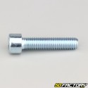 10x45 mm screw BTR head class 8.8 (single)