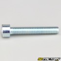 Tornillo de 10x60 mm cabeza BTR clase 8.8 (simple)