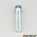 10x60 mm screw BTR head class 8.8 (single)