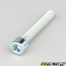 Tornillo de 10x65 mm cabeza BTR clase 8.8 (por unidad)