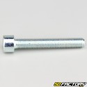 Tornillo de 10x65 mm cabeza BTR clase 8.8 (simple)