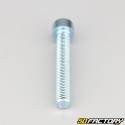 Tornillo de 10x70 mm cabeza BTR clase 8.8 (simple)