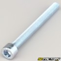 Tornillo de 10x100 mm cabeza BTR clase 8.8 (simple)