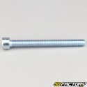 Tornillo de 10x100 mm cabeza BTR clase 8.8 (simple)