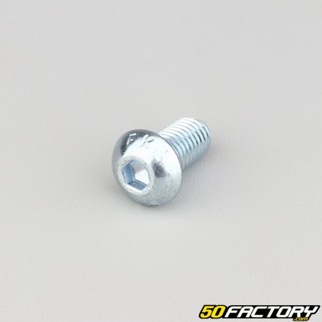 Tornillos de 10x20 mm cabeza redonda BTR clase 10.9 (por unidad)