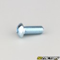 10x25 mm screws rounded head BTR class 10.9 (per unit)