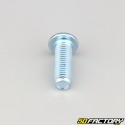 10x30 mm screws rounded head BTR class 10.9 (per unit)