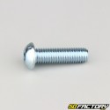 10x35 mm screws rounded head BTR class 10.9 (per unit)