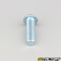 10x35 mm screws rounded head BTR class 10.9 (per unit)