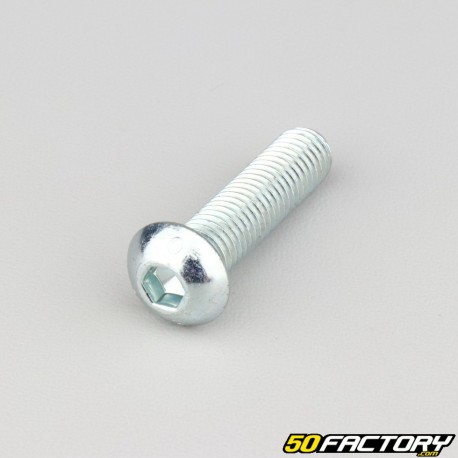 Tornillos de 10x40 mm cabeza redonda BTR clase 10.9 (por unidad)