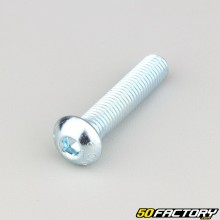 10x50 mm screws domed head BTR class 10.9 (per unit)