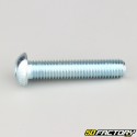 10x50 mm screws rounded head BTR class 10.9 (per unit)