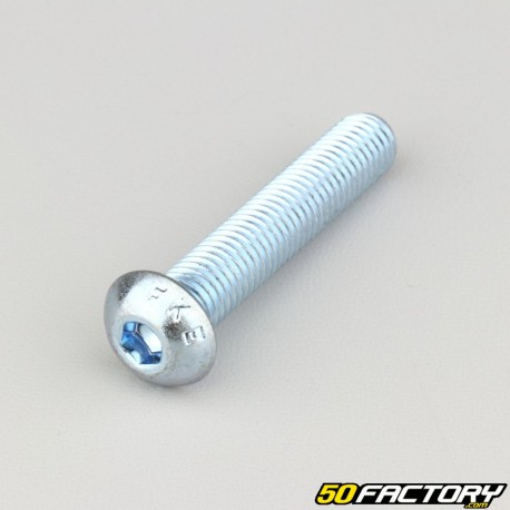 Tornillos de 10x55 mm cabeza redonda BTR clase 10.9 (por unidad)