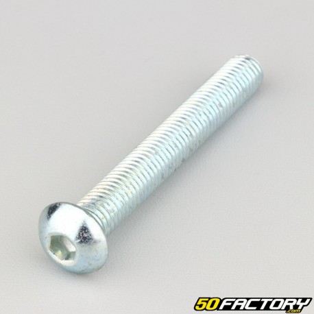 10x75 mm screws rounded head BTR class 10.9 (per unit)