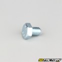 10x12 mm screw hex head class 8.8 (per unit)