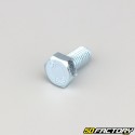 10x20 mm screw hex head class 8.8 (per unit)