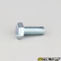 10x25 mm screw hex head class 8.8 (per unit)