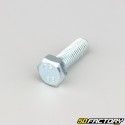 10x30 mm screw hex head class 8.8 (per unit)