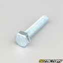 10x45 mm screw hex head class 8.8 (per unit)