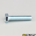 10x45 mm screw hex head class 8.8 (per unit)