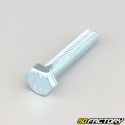 10x50 mm screw hex head class 8.8 (per unit)